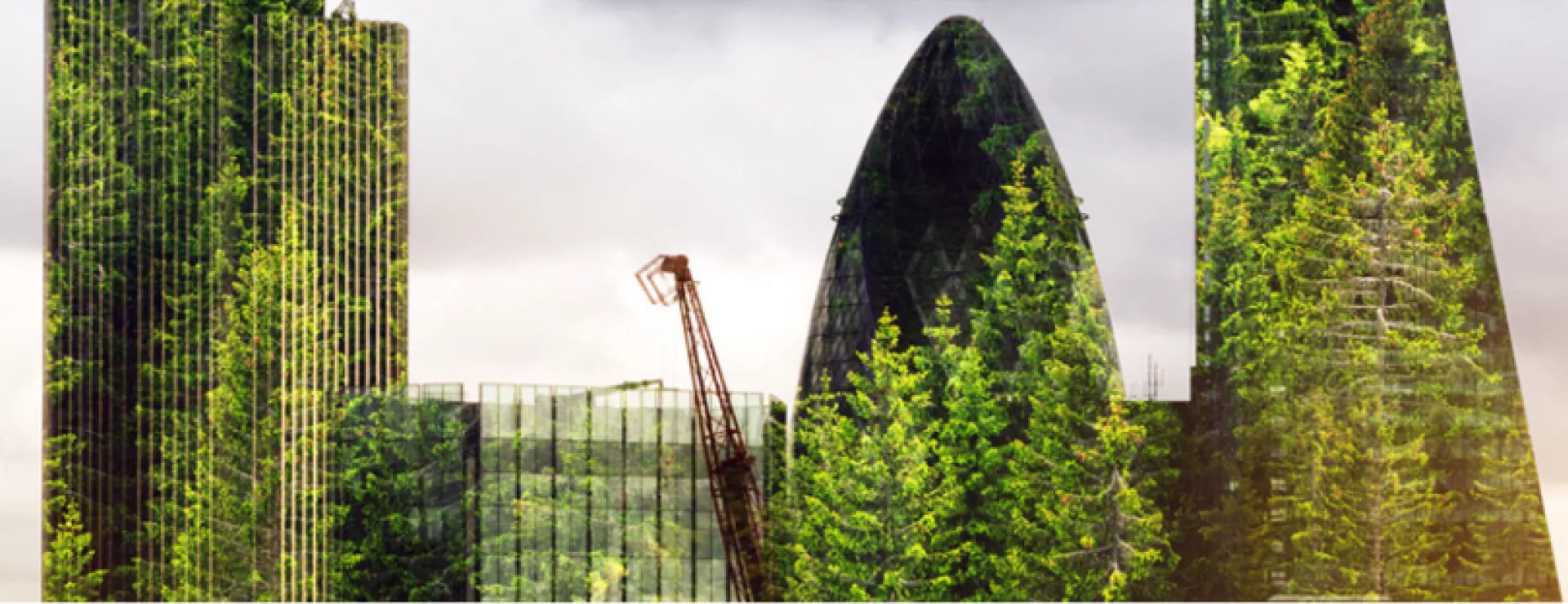 State of Green Banks 2020
