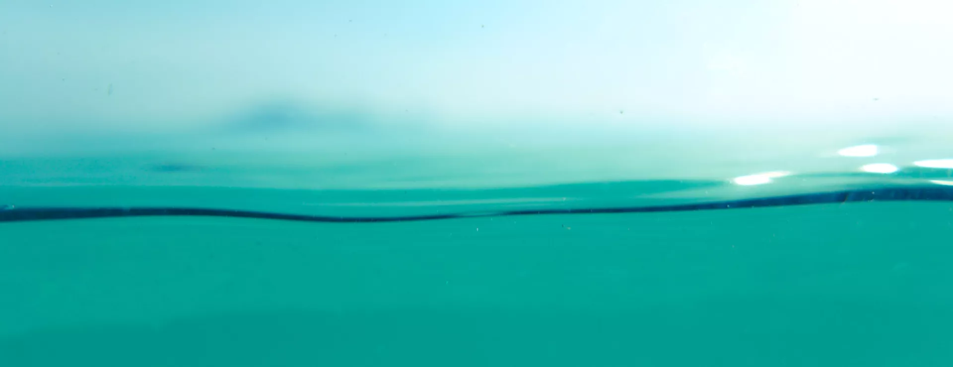 Water coalition