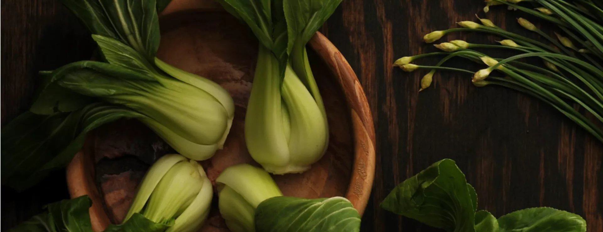 good food finance