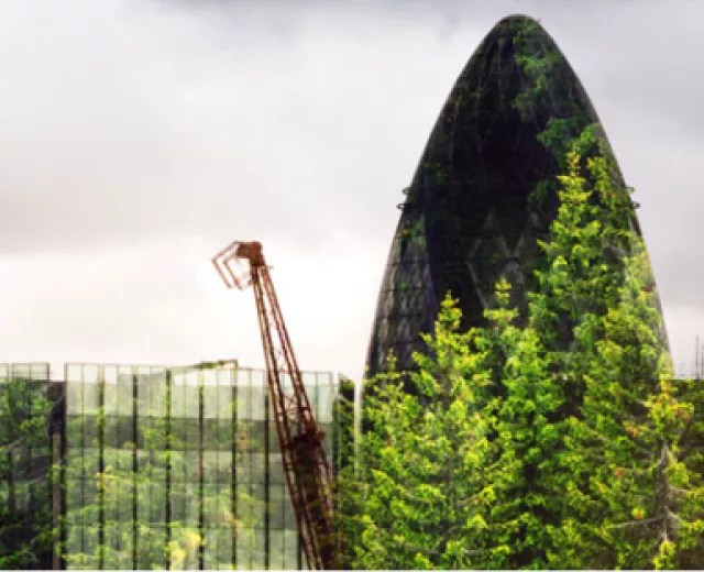 State of Green Banks 2020