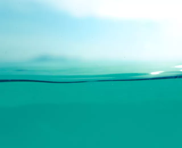 Water coalition
