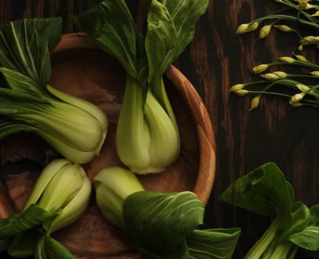 good food finance