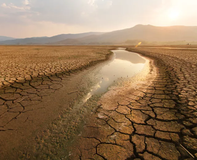Climate