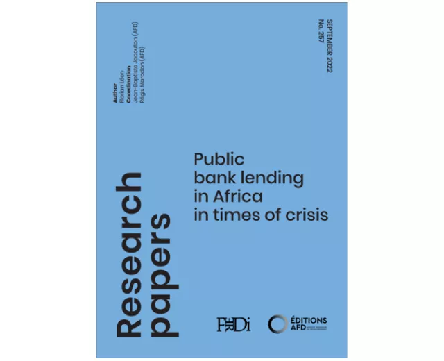 Public bank lending