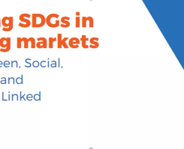 financingsdgs
