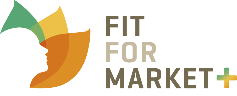 FFM+