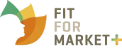 FFM+
